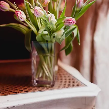 Teeristi Διαμέρισμα